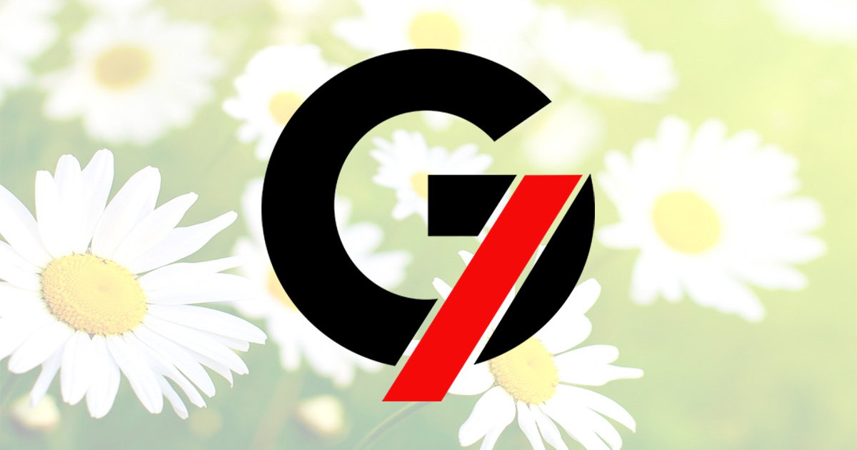 Seven Group Security Services - Security & Facility Management Company